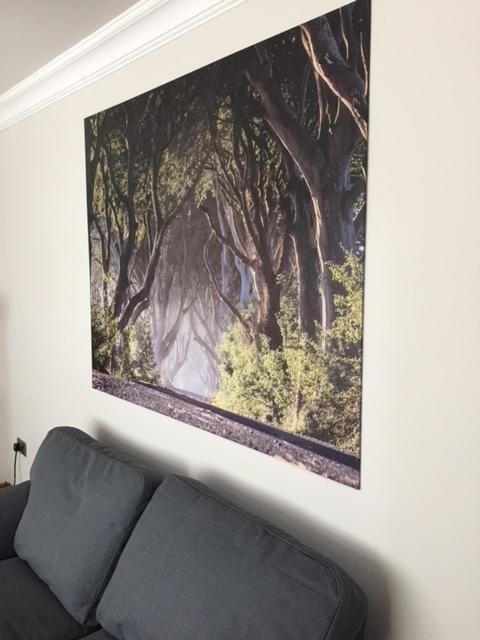 Dark Hedges Cottage Ballycastle Buitenkant foto